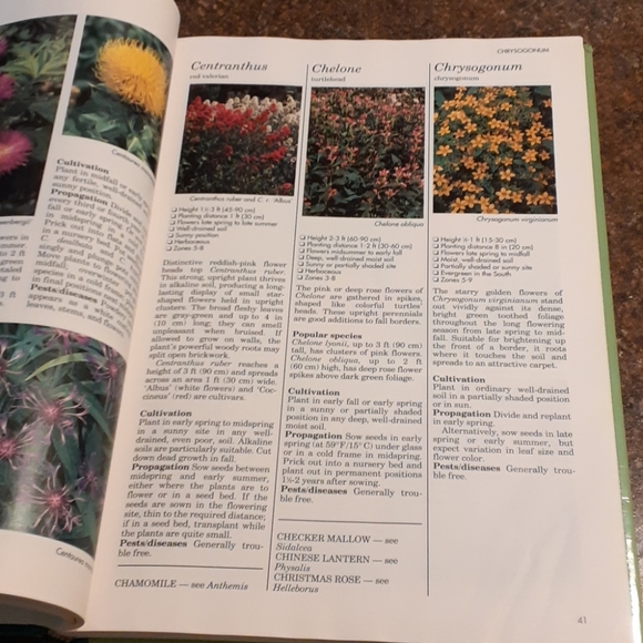 "Successful Gardening" A-Z of Perennials Book - Picture 5 of 8